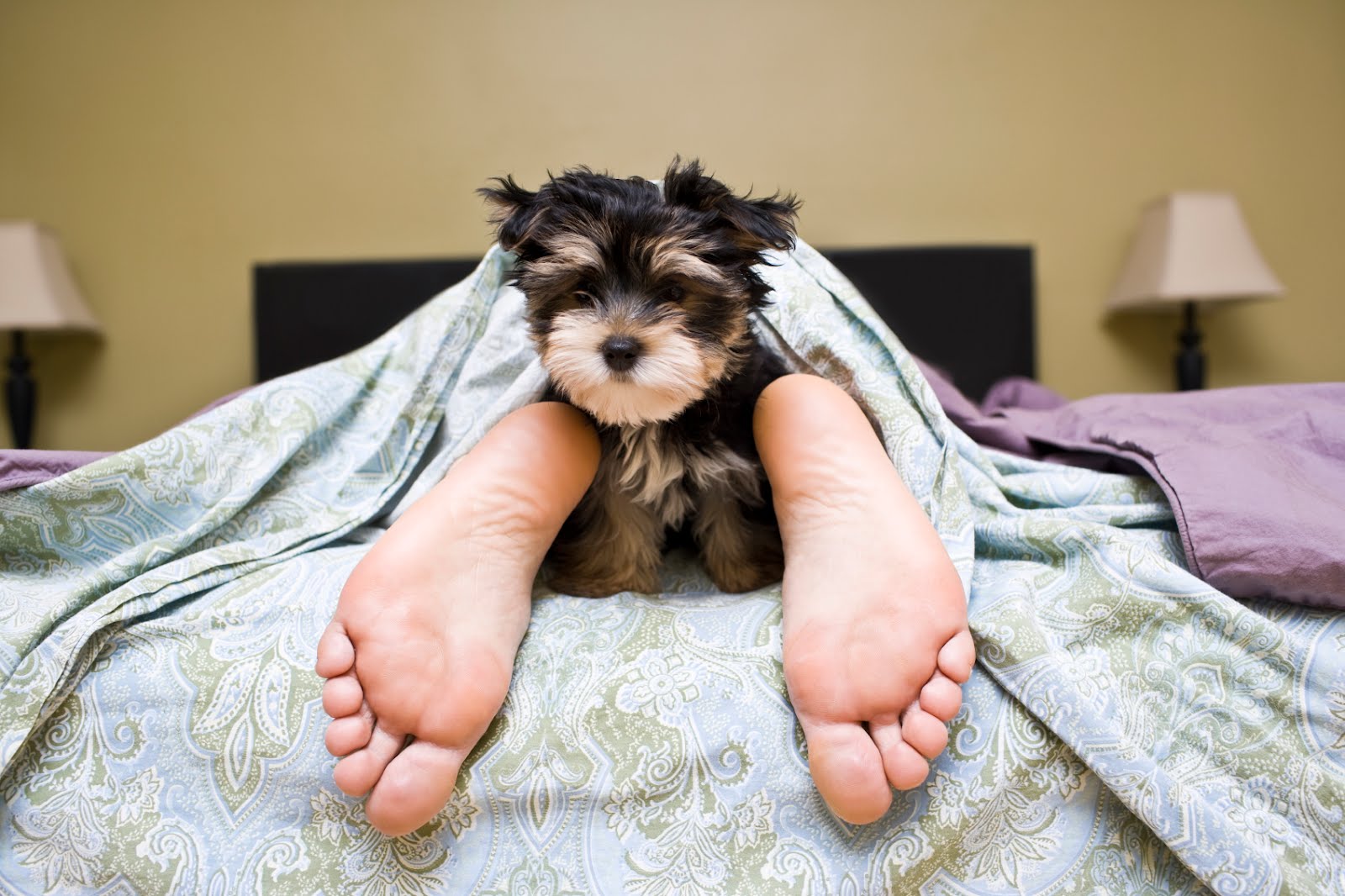 BLOG:  思い出編 ~眠れない時にしてたこと~