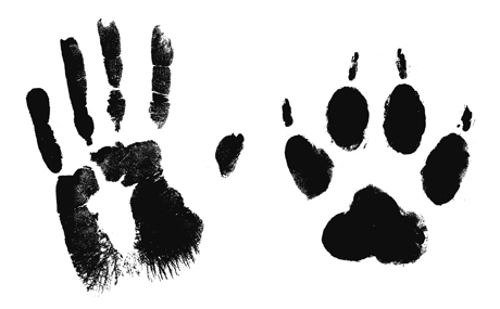 http://www.thewire.co.uk/images/issues/issue339/main/werewolf-swedish-folklore.jpg
